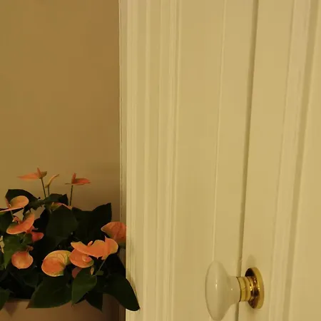 Bed & Breakfast 102 4*