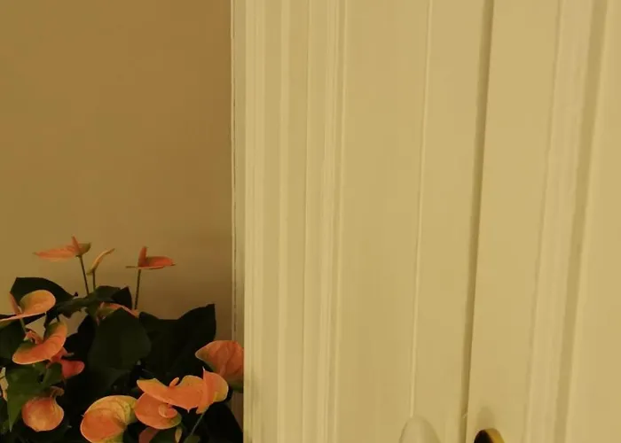 ベッド・アンド・ブレックファスト 102 4*