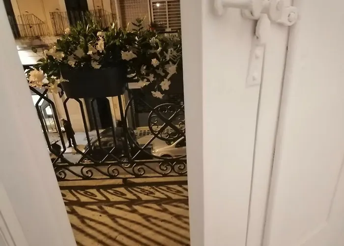 住宿加早餐酒店 102 4*